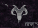 aries